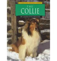 The Collie