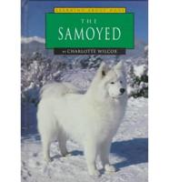 The Samoyed