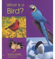 What Is a Bird?