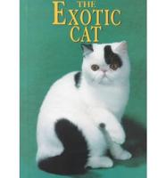 The Exotic Cat