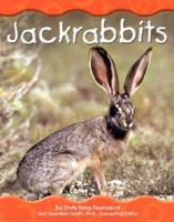 Jackrabbits