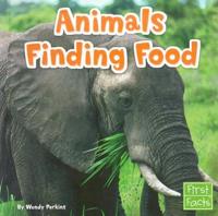 Animals Finding Food