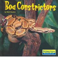 Boa Constrictors