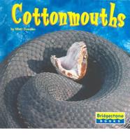 Cottonmouths