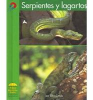 Serpientes Y Lagartos