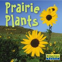 Prairie Plants