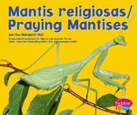 Mantis Religiosa