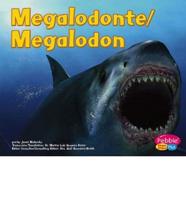 Megalodonte/Megalodon