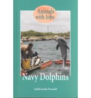 Navy Dolphins