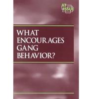 What Encourages Gang Behavior?