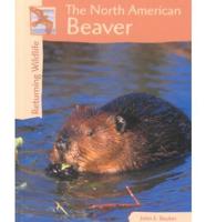 The North American Beaver