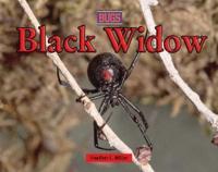 Black Widow