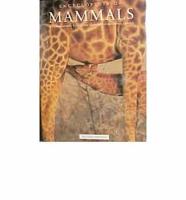 Encyclopedia of Mammals