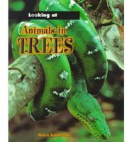 Animals in Trees