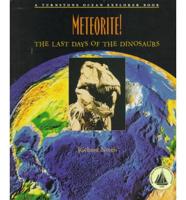 Meteorite!