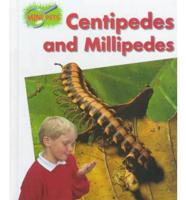 Centipedes and Millipedes