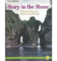 Story in the Stone