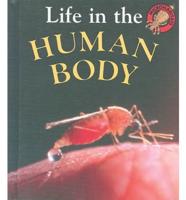 Life in the Human Body