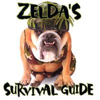 Zelda's Survival Guide