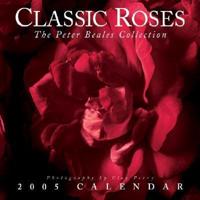 Classic Roses 2005 Calendar