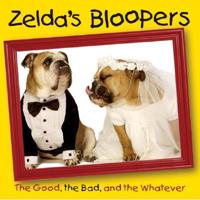 Zelda's Bloopers