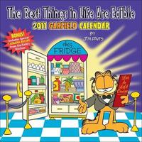 Garfield 2011 Calendar