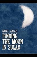 Finding the Moon in Sugar