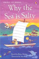 Why the Sea Is Salty?