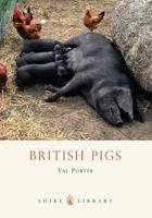 British Pigs