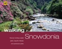 Walking in Snowdonia & North Wales