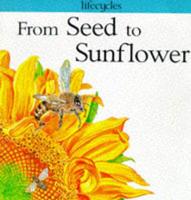 From Seed to Sunflower