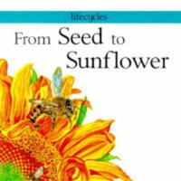 From Seed to Sunflower