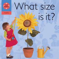 Let's Explore: What Size Is It?