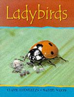 Ladybirds