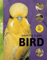 Owning a Pet Bird