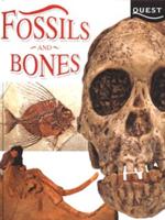 Fossils and Bones