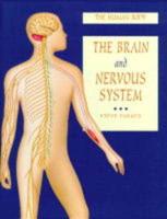 The Brain and Nervous System