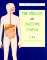 The Stomach and Digestive System