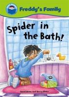 Spider in the Bath!