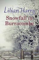 Snowfall in Burracombe