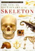 The Visual Dictionary of the Skeleton