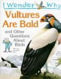 I Wonder Why Vultures Are Bald and Other Questions About Birds