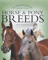 Horse & Pony Breeds