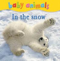 Baby Animals in the Snow