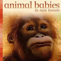 Animal Babies in Rain Forests