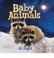 US Baby Animals: At Night