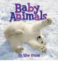 US Baby Animals: In the Snow