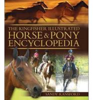 US Horse and Pony Encyclopedia