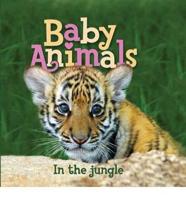 US Baby Animals: In the Jungle