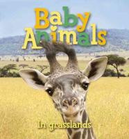 US Baby Animals: In Grasslands